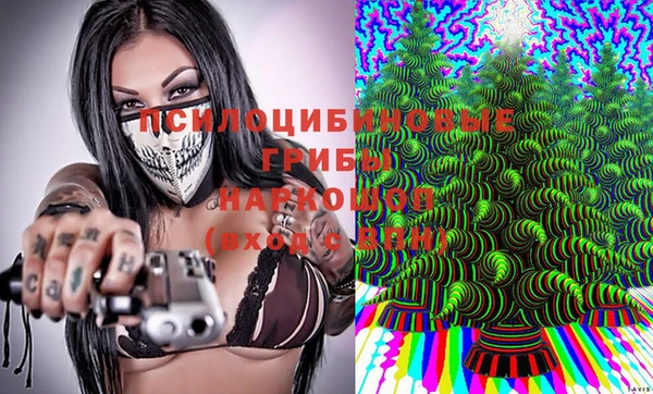 мескалин Новодвинск