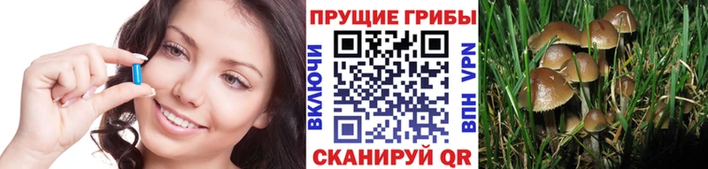 Псилоцибиновые грибы мицелий  наркошоп  Оса 