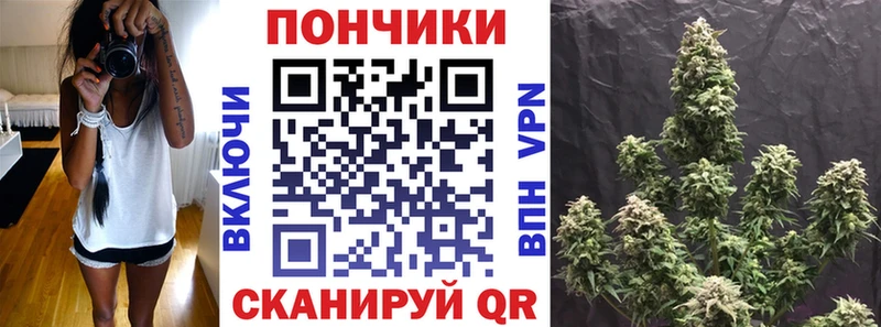 Шишки марихуана план Оса